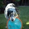 Chuckit Paraflight large (pack of 2) - Image 4