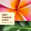 Hawaiian Tropic Skin Defense Sunscreen Lotion - Image 2