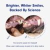 PetLab Co. ProBright Dental Powder - Image 4