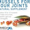 OmegaXL Joint Support Supplement - Image 6